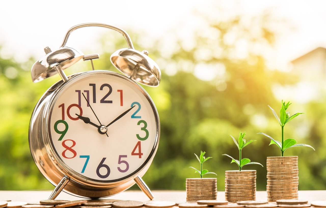 Clock, money, growth — Custom leather Holsters